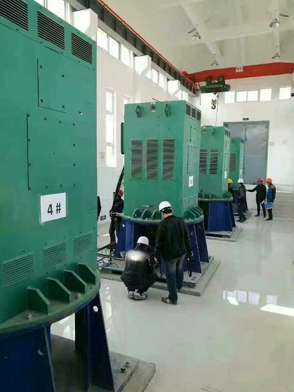 YKK8006-12某污水处理厂使用我厂的立式高压电机安装现场